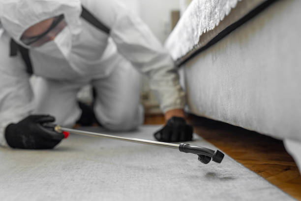 Professional Bed Bug Control technician working in North Sea, NY